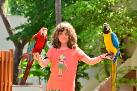 Enfant et famille — droits des héritiers